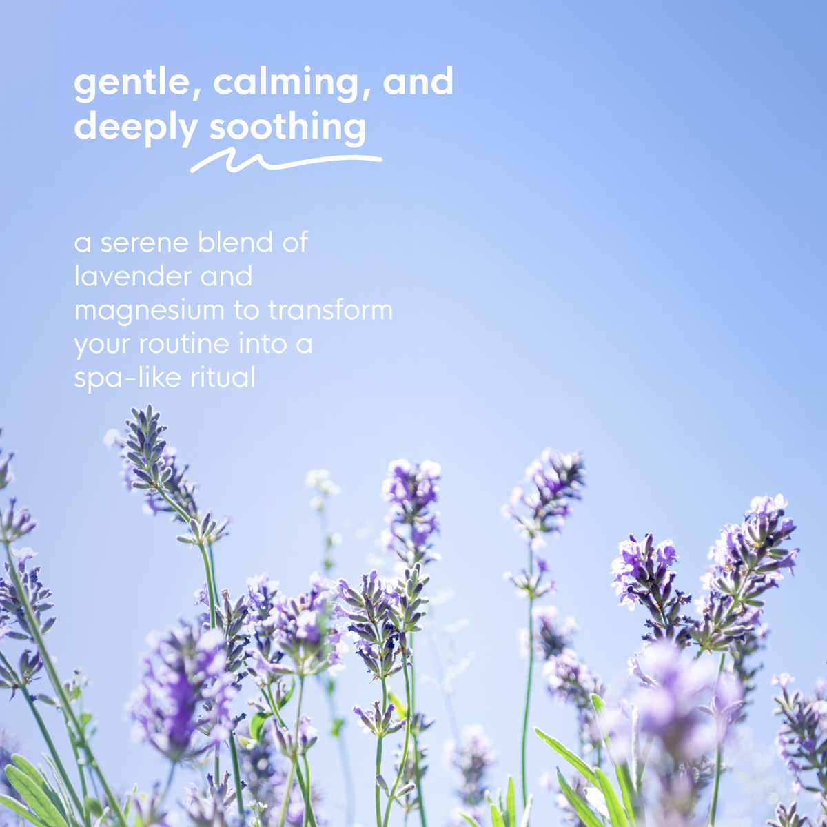 soothing lavender magnesium mini massage oil roll-on